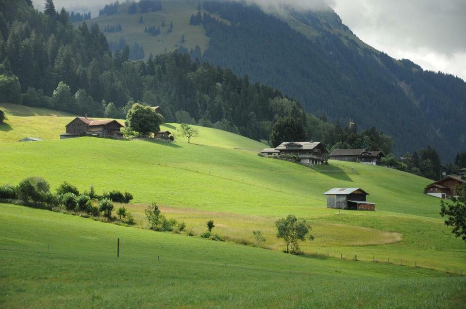 Residence "Les Cretes" Torgon エクステリア 写真